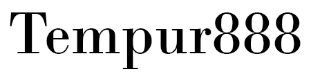 Tempur888